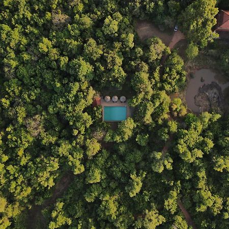 Wild Grass Nature Resort Sigiriya Esterno foto