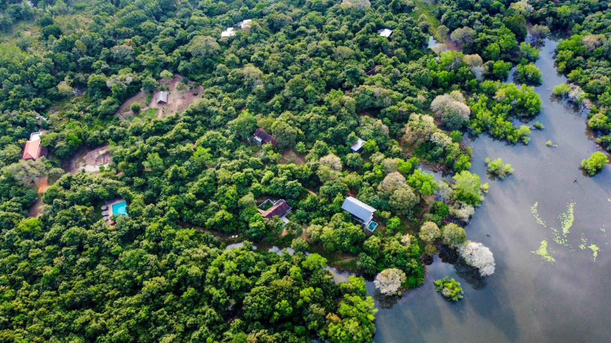 Wild Grass Nature Resort Sigiriya Esterno foto