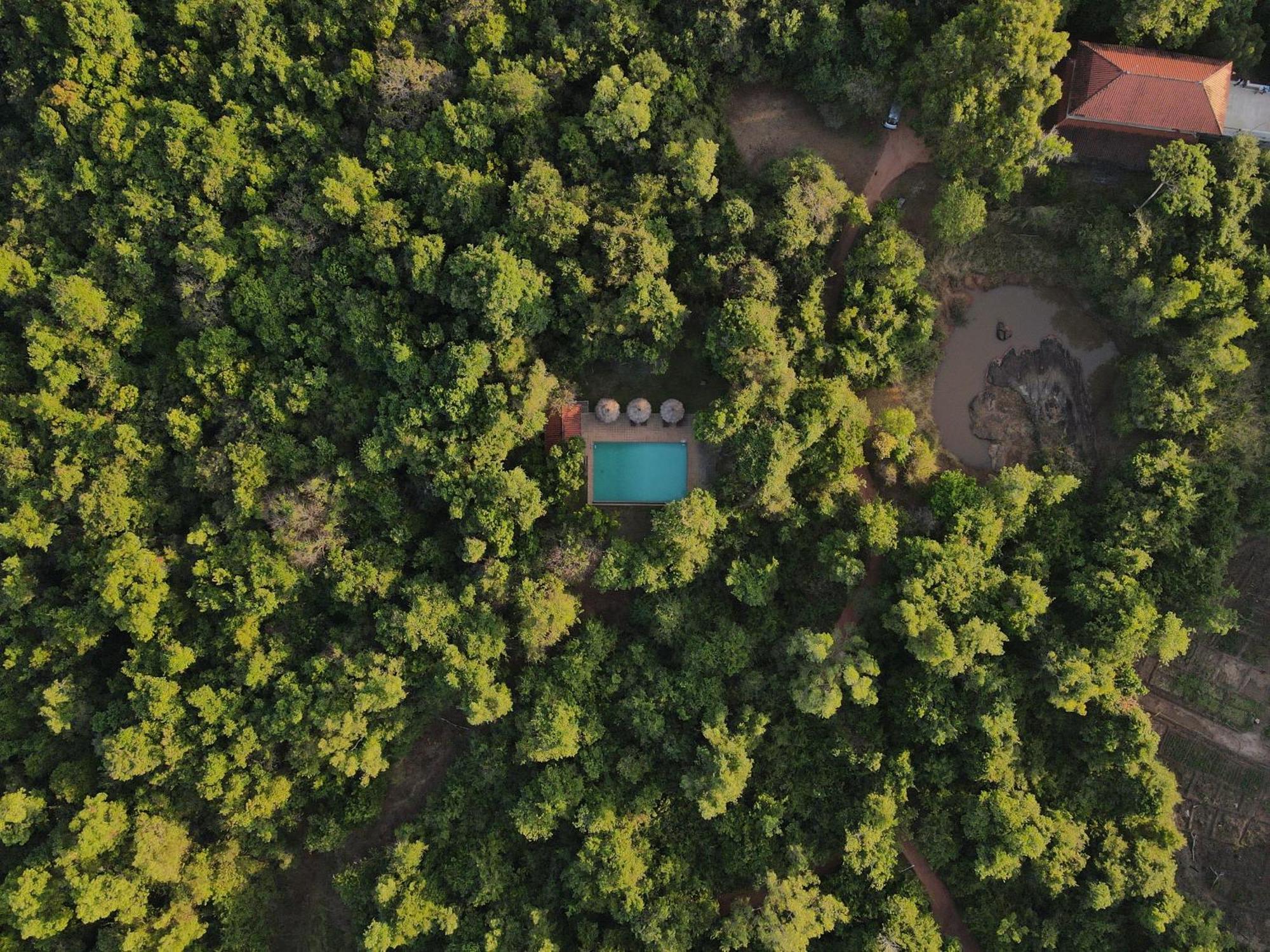 Wild Grass Nature Resort Sigiriya Esterno foto